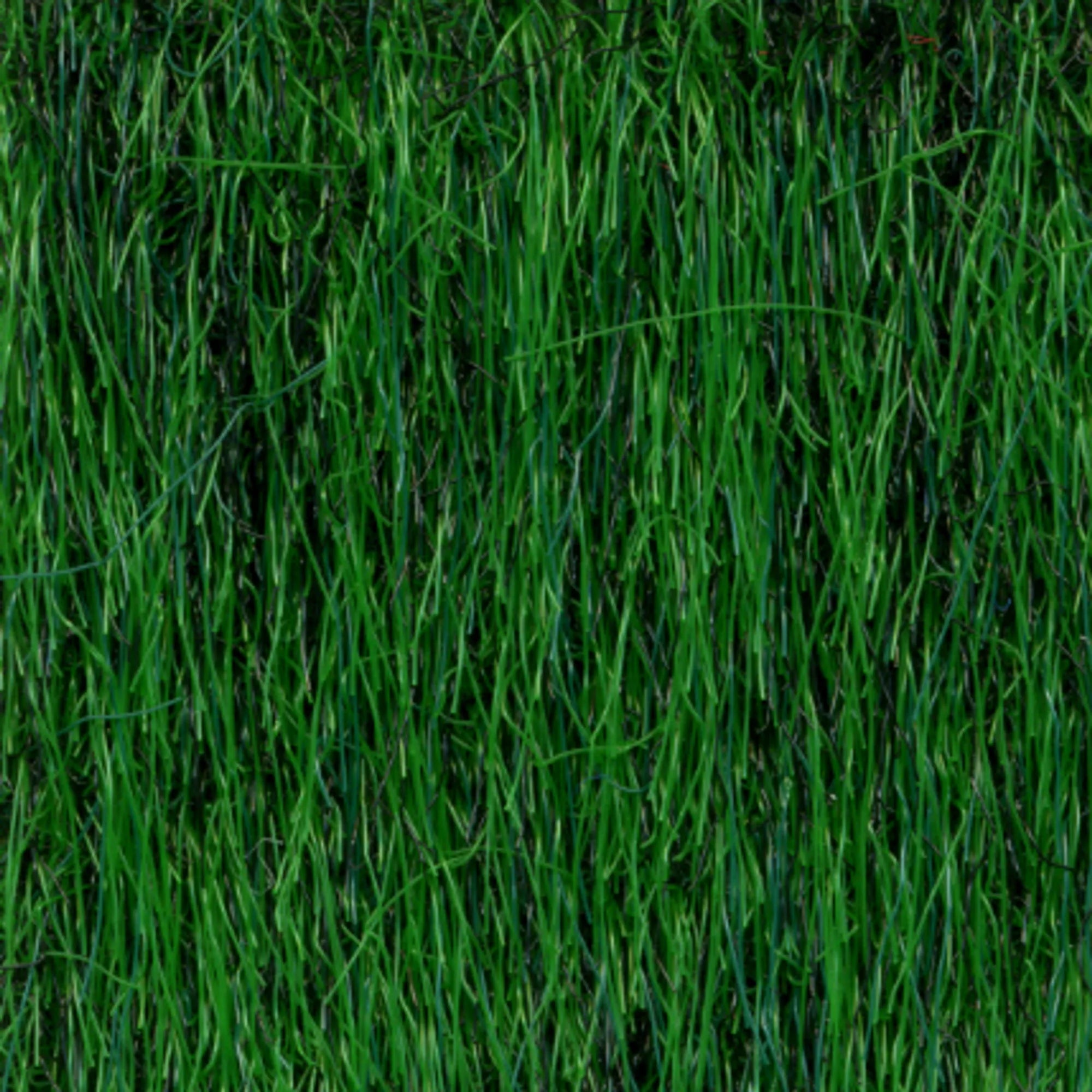 10333-Hyrmatta-Klargrön