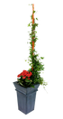 10 177
