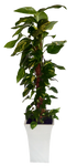 10 180