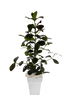10 186