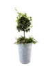 12490